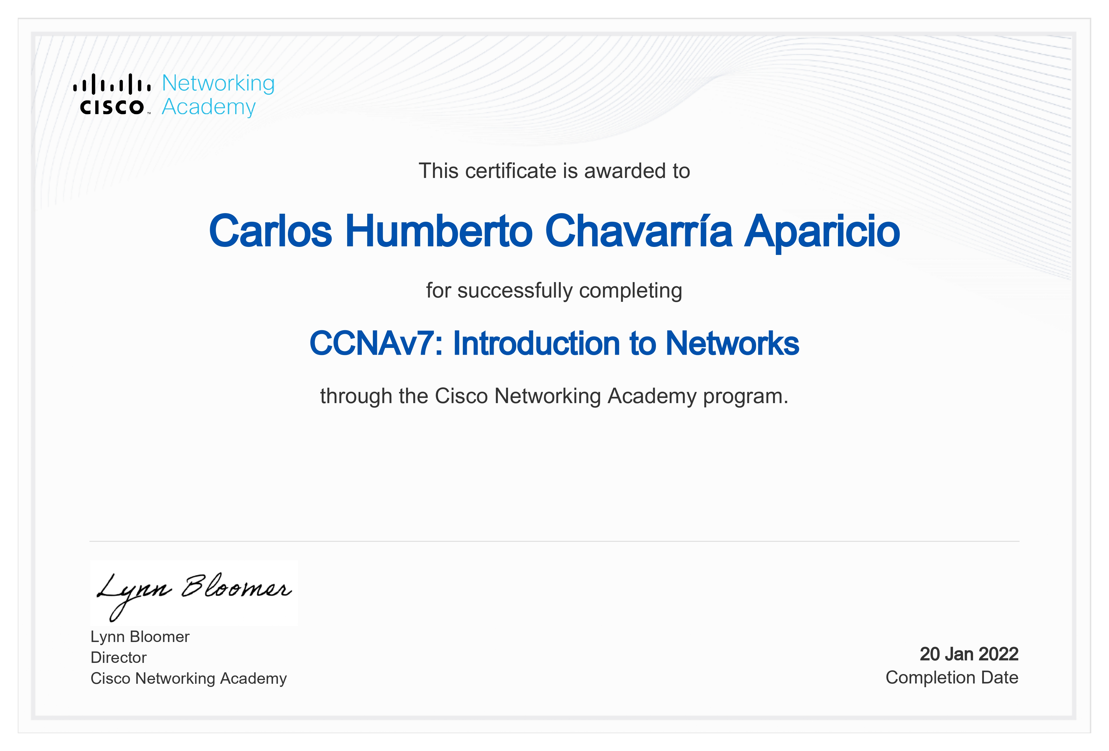 Diploma redes
